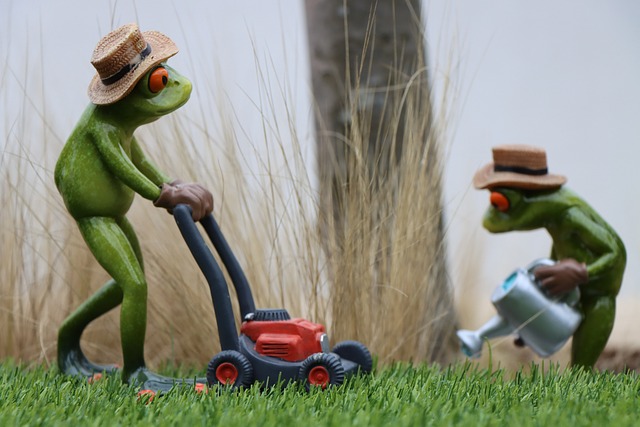 Lawn Care